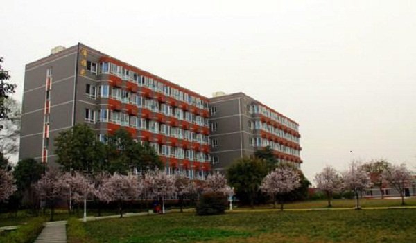 菁菁校园