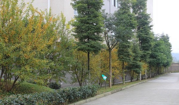 成都市工程职业技术学校