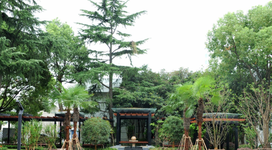 上海市建筑工程学校