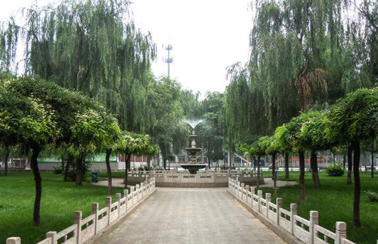 xiaoyuan.jpg