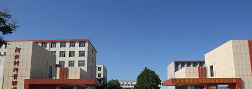 xiaomen1.jpg