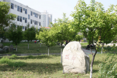 湖北医药学院「本科」