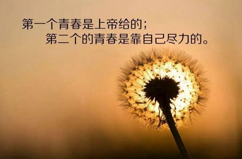 杭州中策职业学校2024年招生简章