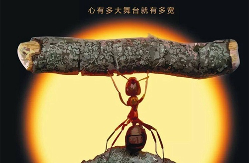 温州特殊教育学校2024年招生简章