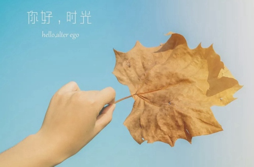 河曲职业中学2024年招生简章