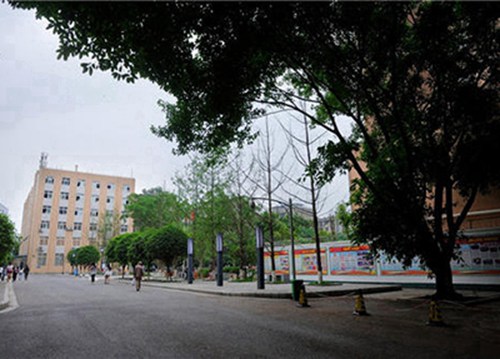 宁海第一职业学校2024年招生简章