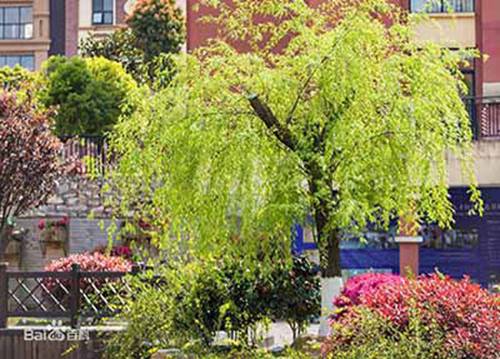 华北机电学校2024年学费多少
