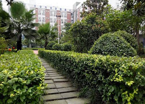 桂林机电工程学校2024年招生简章