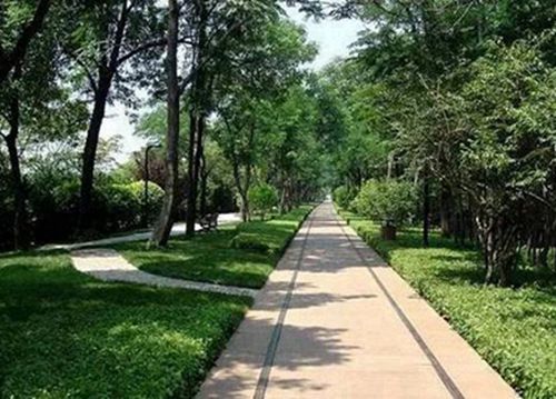 江都职业教育中心校2024年招生简章