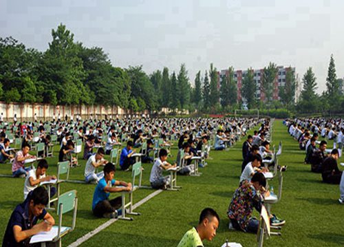 烟台市特殊教育学校2024年招生简章